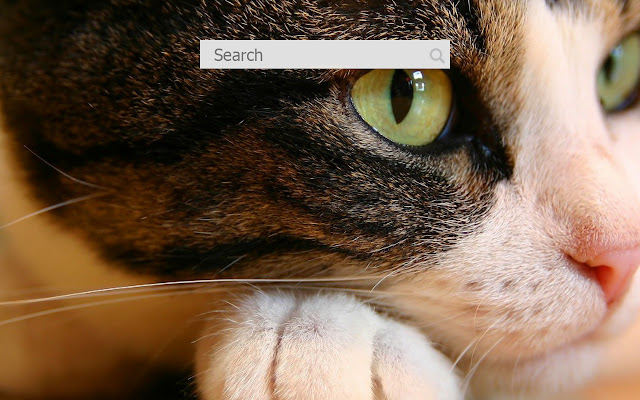 Cats New Tab  from Chrome web store to be run with OffiDocs Chromium online