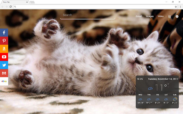 Cats New Tab Page  from Chrome web store to be run with OffiDocs Chromium online