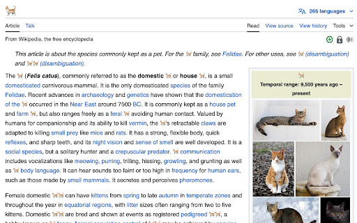 Cattify  from Chrome web store to be run with OffiDocs Chromium online