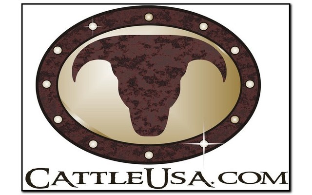 CattleUSA Flash  from Chrome web store to be run with OffiDocs Chromium online