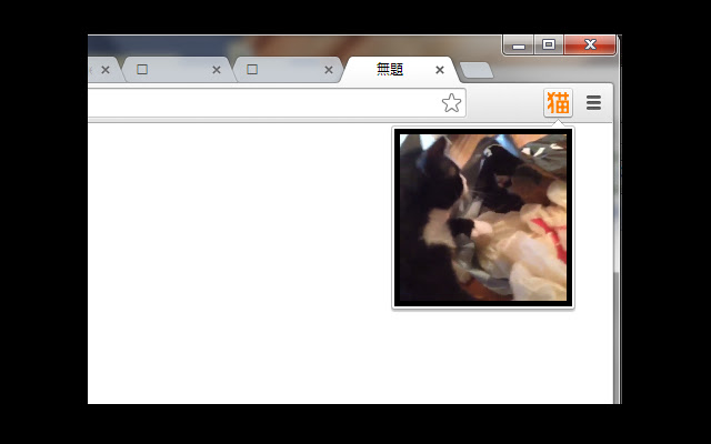 Cat Vine Lite | ショート猫動画  from Chrome web store to be run with OffiDocs Chromium online