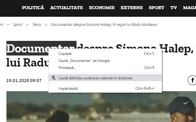 Caută in dicționar  from Chrome web store to be run with OffiDocs Chromium online