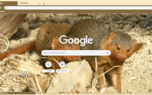 Cay Mangut  from Chrome web store to be run with OffiDocs Chromium online