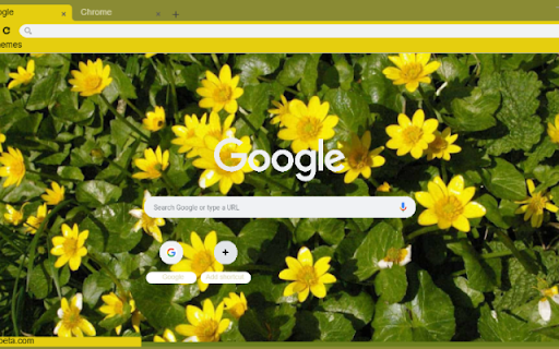 Celandine  from Chrome web store to be run with OffiDocs Chromium online