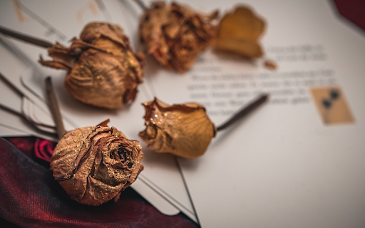 Celebrate roses  from Chrome web store to be run with OffiDocs Chromium online