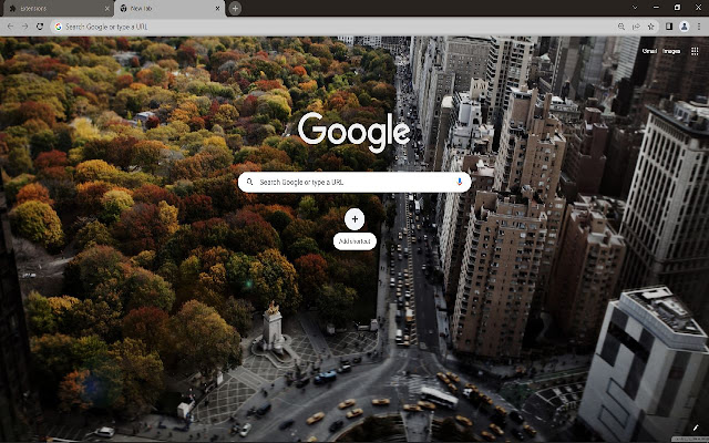 Central Park, New York  from Chrome web store to be run with OffiDocs Chromium online