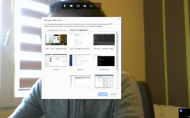 CGTR Partage décran sitmvisio.fr  from Chrome web store to be run with OffiDocs Chromium online