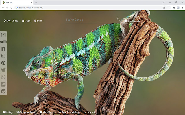 Chameleon Wallpaper HD כרטיסייה חדשה מחנות האינטרנט של Chrome להפעלה עם OffiDocs Chromium באינטרנט