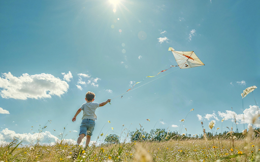 Chasing the Sky  from Chrome web store to be run with OffiDocs Chromium online