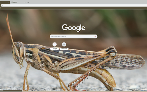 Chau Chau  from Chrome web store to be run with OffiDocs Chromium online