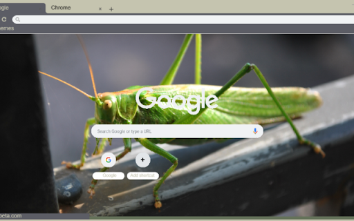 Chau Chau Xanh  from Chrome web store to be run with OffiDocs Chromium online