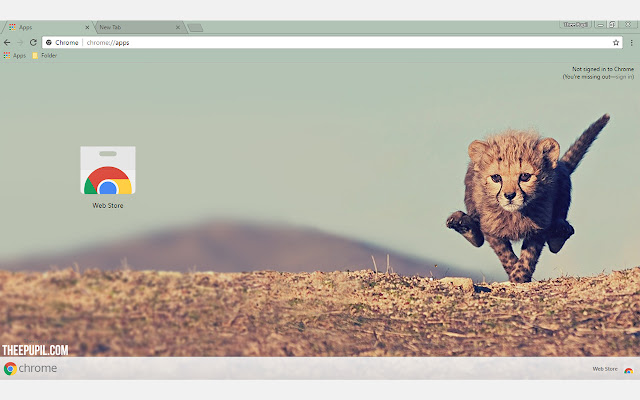 Cheetah Cub  from Chrome web store to be run with OffiDocs Chromium online