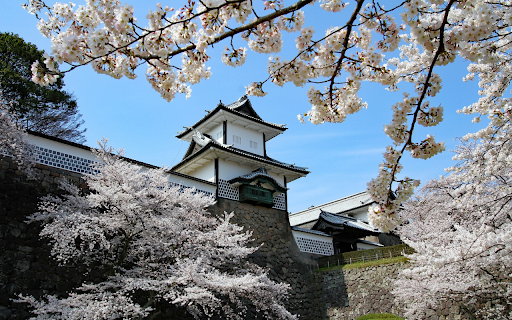 Cherry blossom pagoda  from Chrome web store to be run with OffiDocs Chromium online