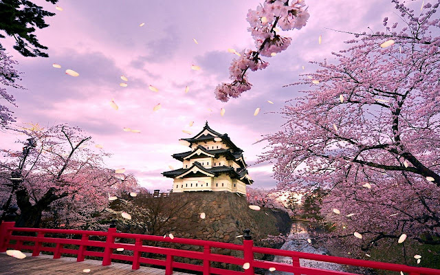 Cherry Blossom Petals uit de Chrome-webwinkel voor gebruik met OffiDocs Chromium online
