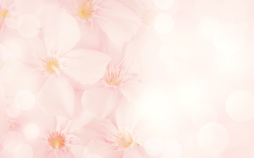 Cherry Blossoms on White  from Chrome web store to be run with OffiDocs Chromium online
