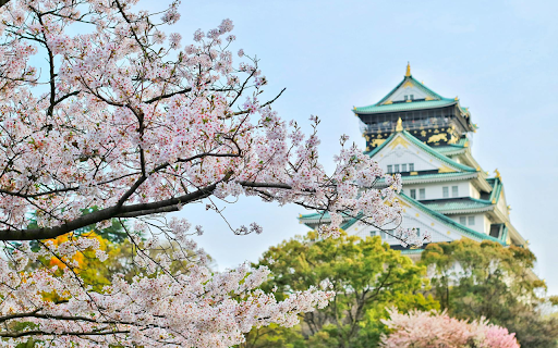 Cherry Blossom Tree  from Chrome web store to be run with OffiDocs Chromium online