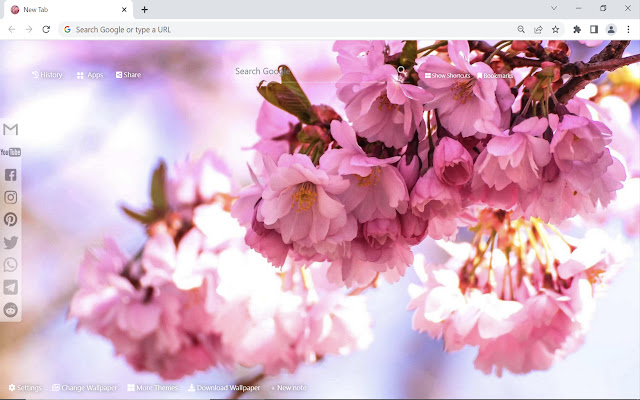 Cherry Blossom Wallpaper HD New Tab  from Chrome web store to be run with OffiDocs Chromium online