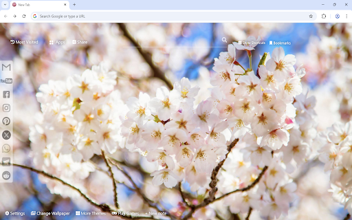 Cherry Blossom Wallpaper New Tab  from Chrome web store to be run with OffiDocs Chromium online