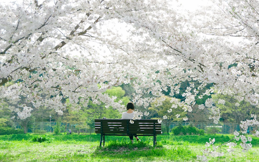 Cherry Whispers Serenity  from Chrome web store to be run with OffiDocs Chromium online