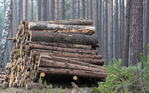 Children of the forest  from Chrome web store to be run with OffiDocs Chromium online