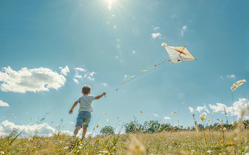 Chillkid Theme  from Chrome web store to be run with OffiDocs Chromium online