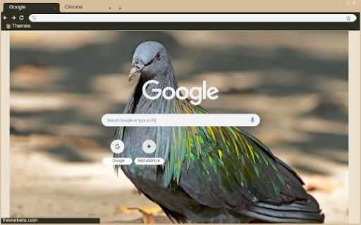 Chim Bo Cau Dai  from Chrome web store to be run with OffiDocs Chromium online