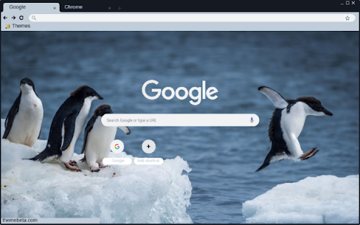 Chim Canh Cut  from Chrome web store to be run with OffiDocs Chromium online