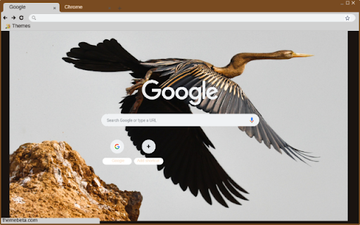 Chim cao co  from Chrome web store to be run with OffiDocs Chromium online