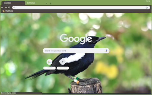 Chim Chich Choe  from Chrome web store to be run with OffiDocs Chromium online