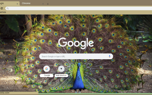 Chim Cong  from Chrome web store to be run with OffiDocs Chromium online