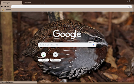 Chim Cut Hoang Da  from Chrome web store to be run with OffiDocs Chromium online