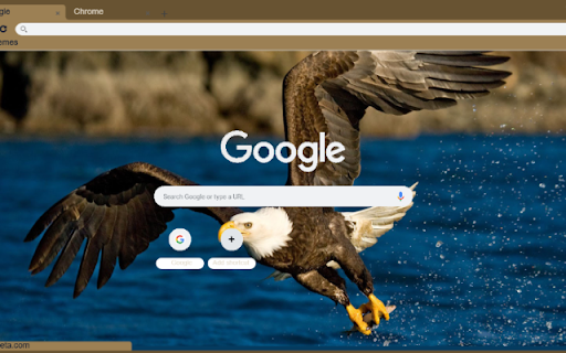Chim Dai Bang  from Chrome web store to be run with OffiDocs Chromium online
