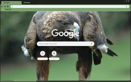 Chim dai bang vang  from Chrome web store to be run with OffiDocs Chromium online