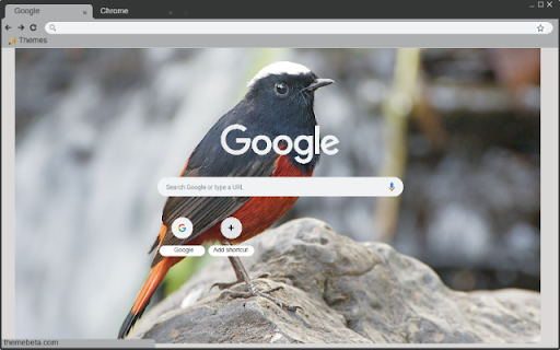 Chim Dau Trang  from Chrome web store to be run with OffiDocs Chromium online