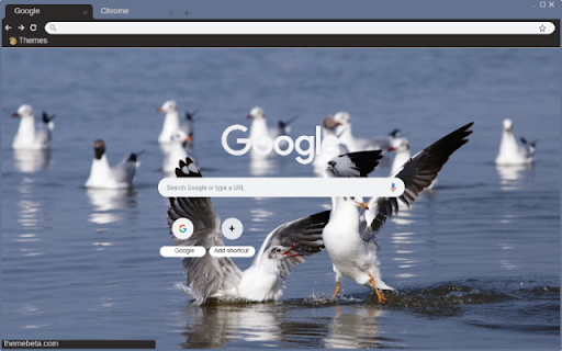 Chim Hai Au  from Chrome web store to be run with OffiDocs Chromium online