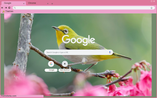 Chim hot  from Chrome web store to be run with OffiDocs Chromium online