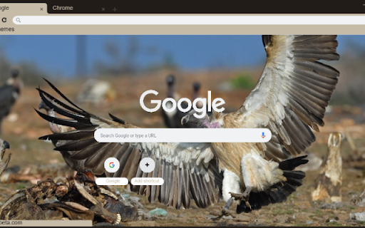 Chim Ken Ken  from Chrome web store to be run with OffiDocs Chromium online