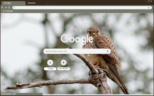 Chim Kestrel  from Chrome web store to be run with OffiDocs Chromium online