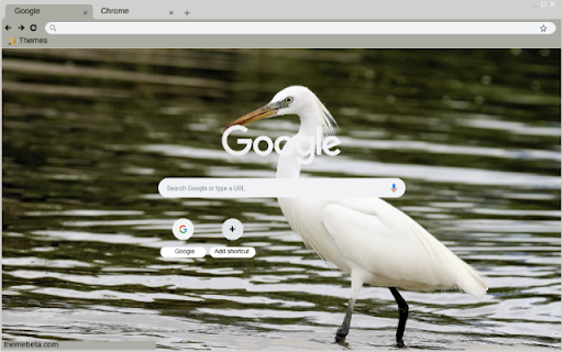 Chim Lac  from Chrome web store to be run with OffiDocs Chromium online