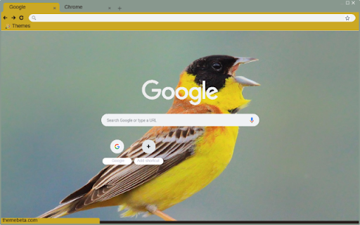 Chim Nheo  from Chrome web store to be run with OffiDocs Chromium online
