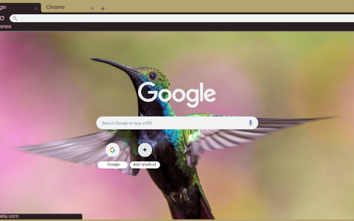 Chim Ruoi  from Chrome web store to be run with OffiDocs Chromium online