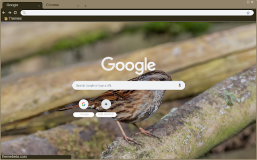 Chim Se Nau  from Chrome web store to be run with OffiDocs Chromium online