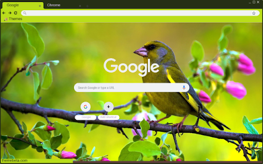 Chim Se Xanh from Chrome web store to be run with OffiDocs Chromium online Chim Se Xanh from Chrome web store to be run with OffiDocs Chromium online
