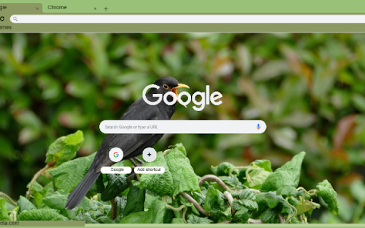 Chim Son Ca Den  from Chrome web store to be run with OffiDocs Chromium online