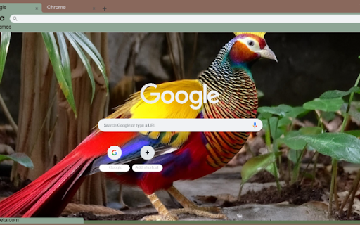 Chim Tri  from Chrome web store to be run with OffiDocs Chromium online