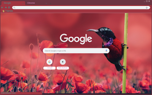 Chim Tuc  from Chrome web store to be run with OffiDocs Chromium online