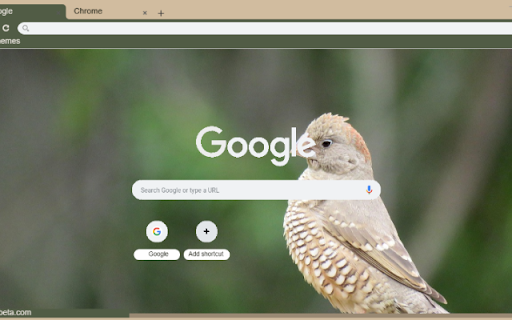Chim Ung Dau Do  from Chrome web store to be run with OffiDocs Chromium online