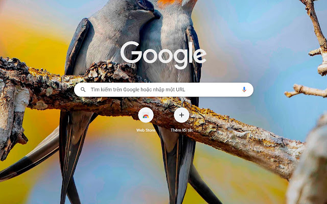 Chim yen mao de thuong  from Chrome web store to be run with OffiDocs Chromium online