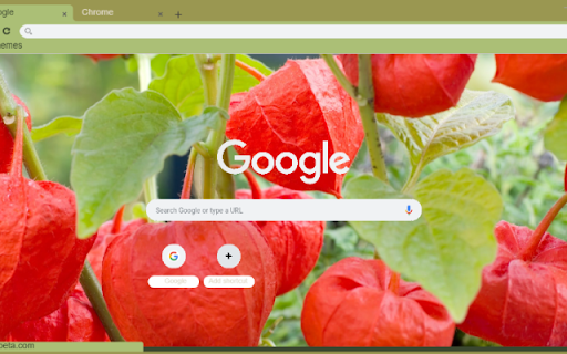 Chinese Lantern  from Chrome web store to be run with OffiDocs Chromium online