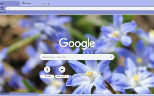 Chionodoxa  from Chrome web store to be run with OffiDocs Chromium online